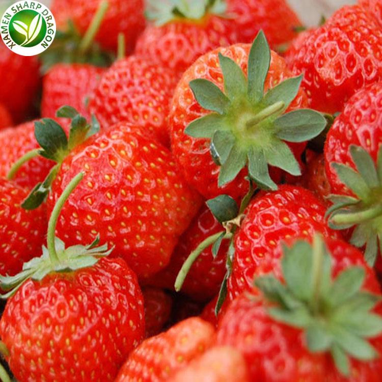 best grade Frozen strawberries
