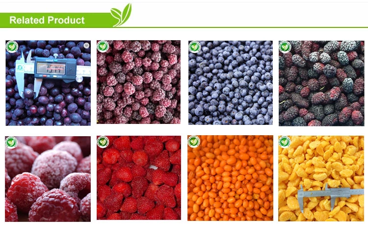 product-700-492 product-700-492