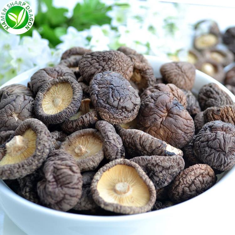 shiitake mushrooms wholesale