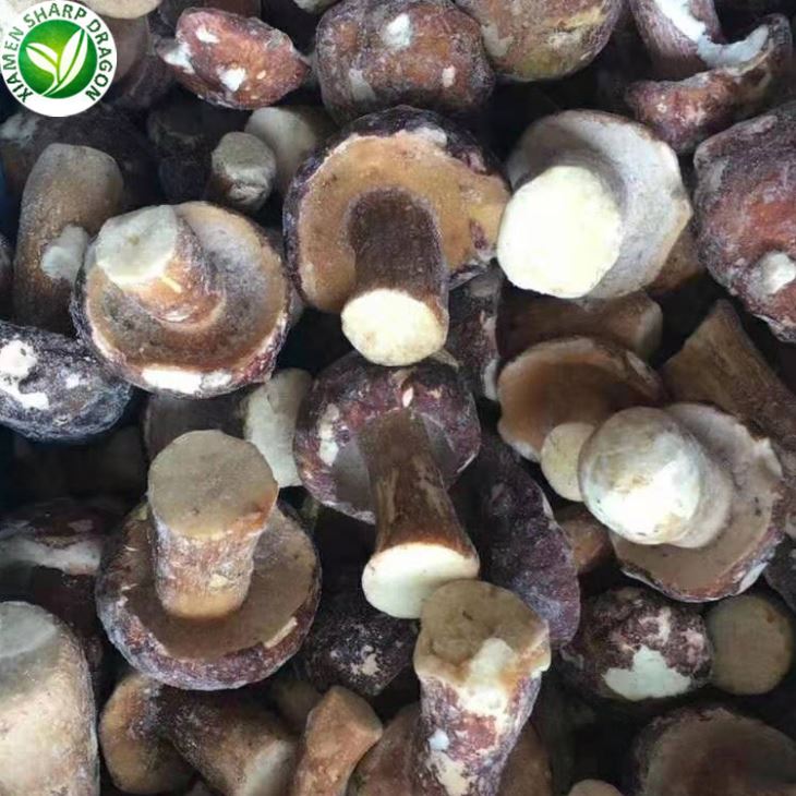 Porcini Mushrooms Wholesale