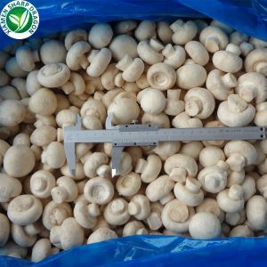 Champignon Mushroom Nutrition