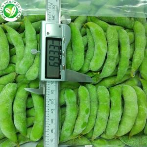 Κατεψυγμένα Edamame φασόλια το λοβό