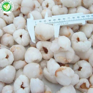 Frozen Lychee Pulp