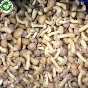 Frozen Nameko Mushroom Supplier & Manufacturer στην Κίνα