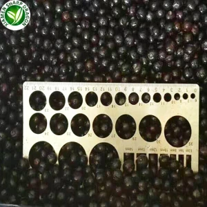 Iqf Blueberry Τιμή