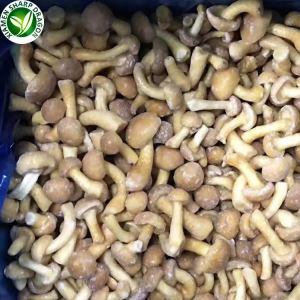 Γεύση μανιταριού Nameko