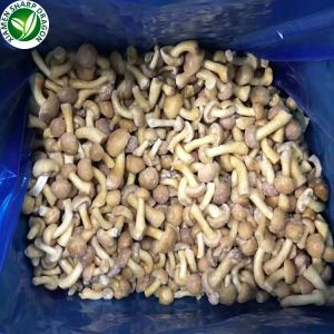 Μανιτάρι Nameko στα κινέζικα