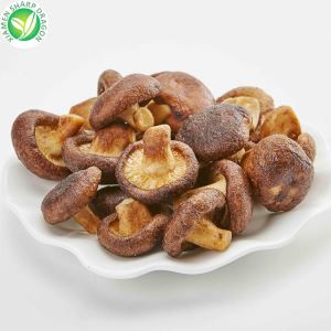 Μανιτάρια μανιταριών Shiitake