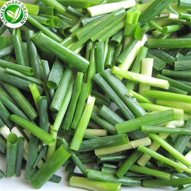 Shallot Green Shoots