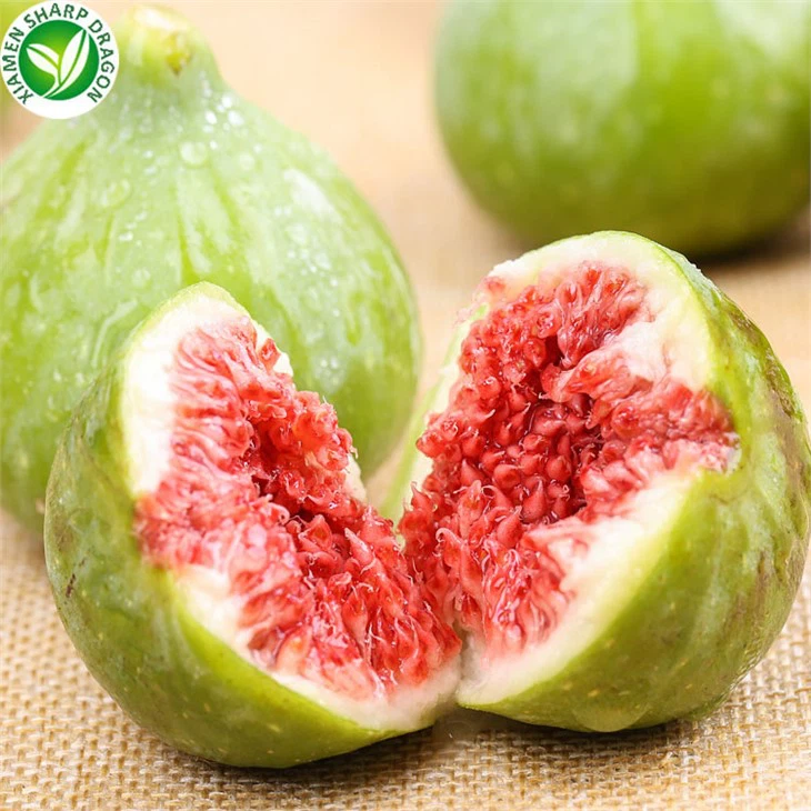 10 Kg Fig Fruit Price